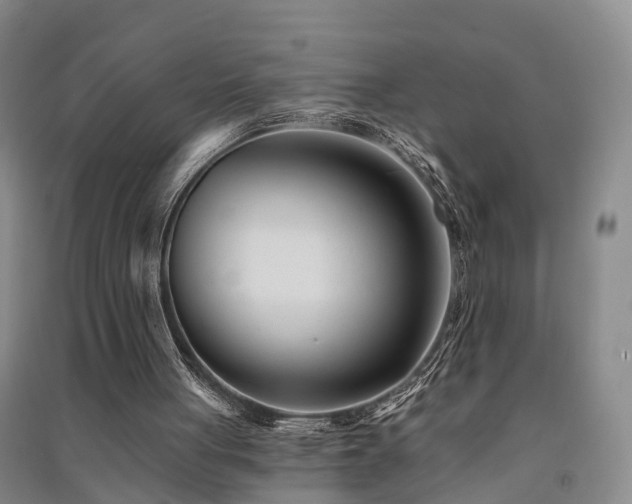 X0000091560051200708171334