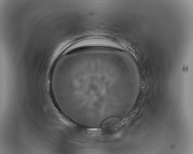 X0000091560053200708171334