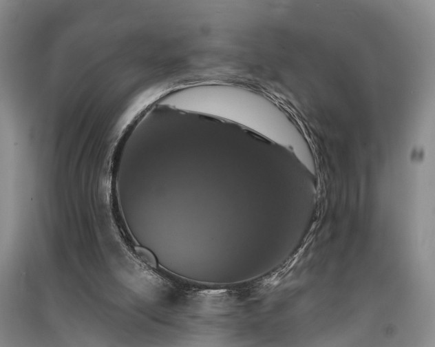 X0000091560054200708171334