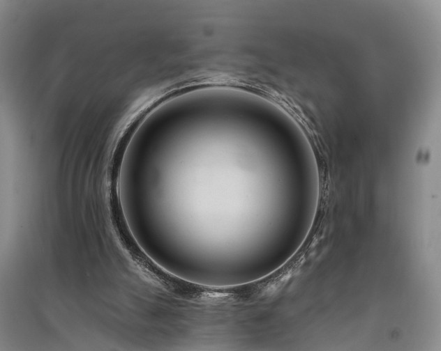 X0000091560055200708171334