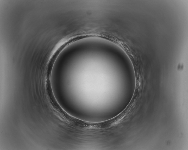 X0000091560056200708171334