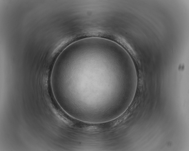 X0000091560058200708171334