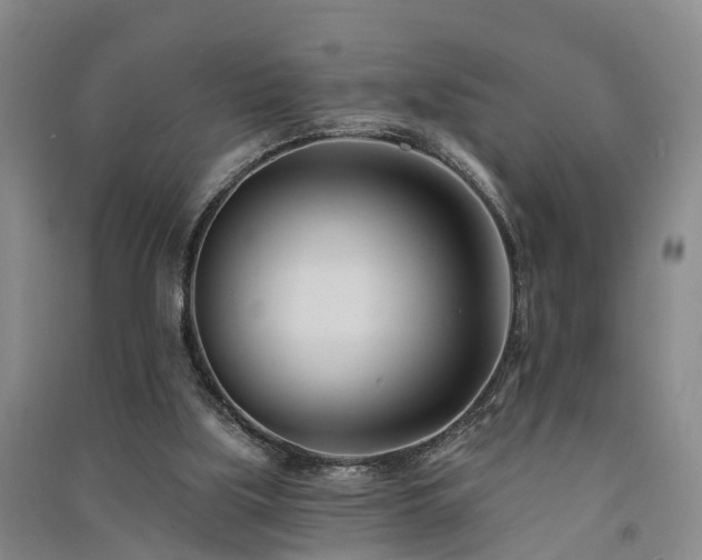 X0000091560059200708171334