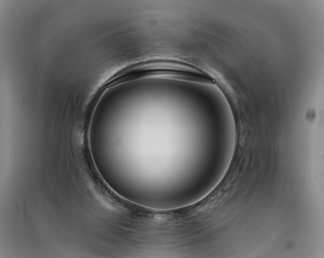 X0000091560060200708171334