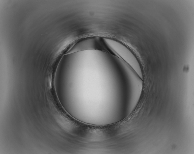 X0000091560062200708171334