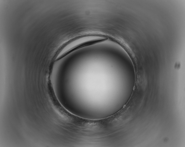 X0000091560063200708171334