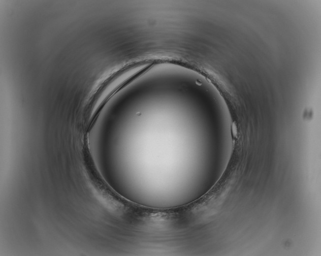 X0000091560064200708171334