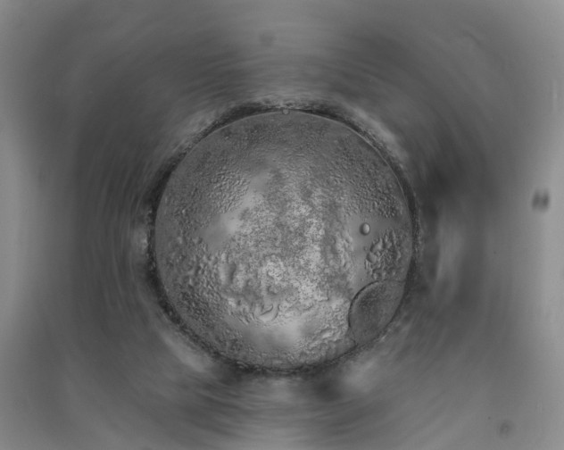 X0000091560065200708171334