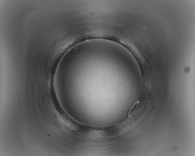 X0000091560066200708171334