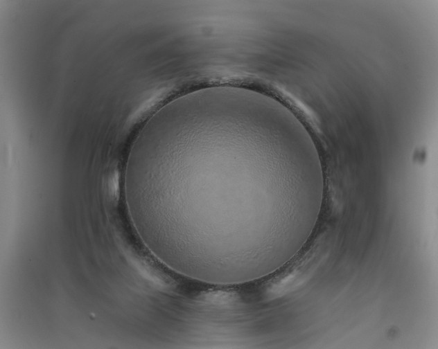 X0000091560067200708171334