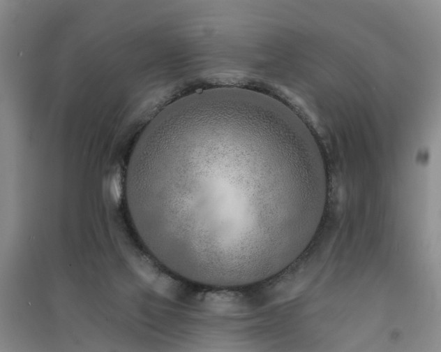 X0000091560069200708171334