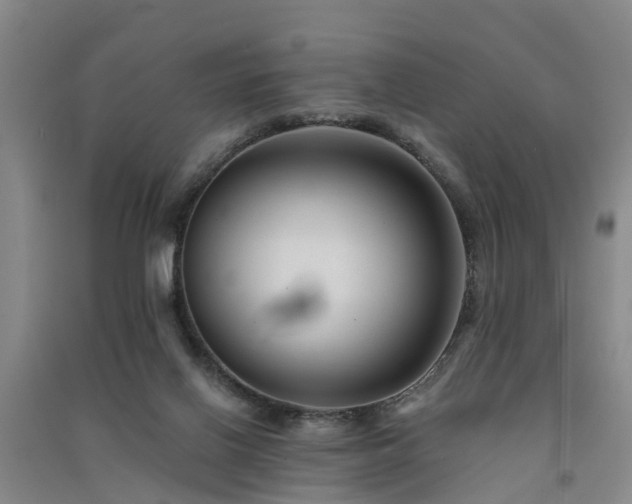 X0000091560070200708171334