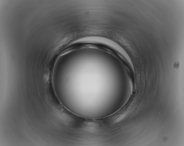 X0000091560072200708171334