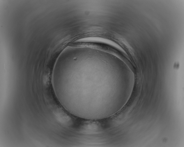 X0000091560073200708171334