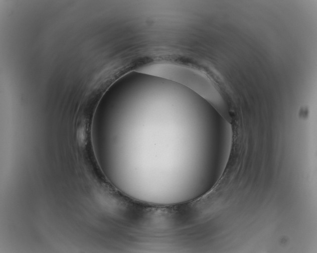 X0000091560074200708171334