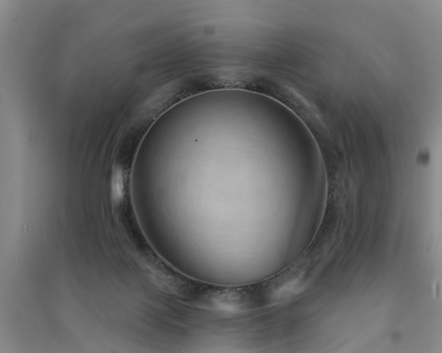 X0000091560075200708171334