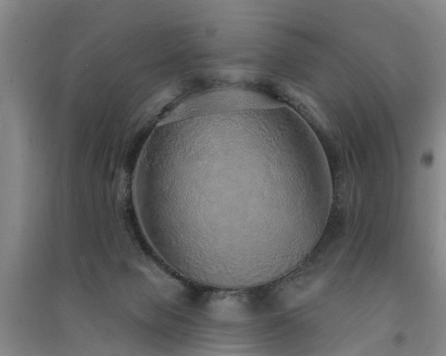 X0000091560077200708171334