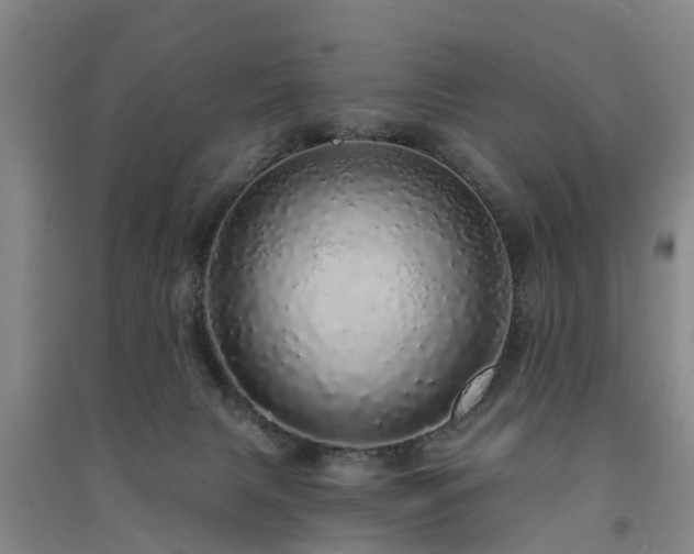 X0000091560079200708171334