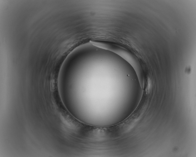 X0000091560080200708171334