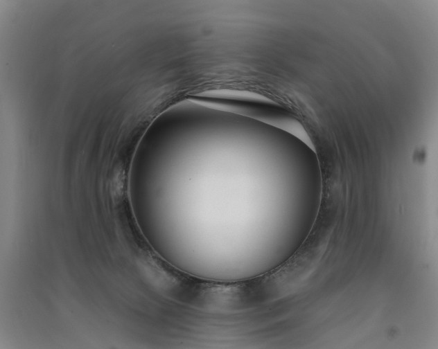 X0000091560081200708171334