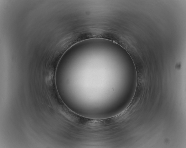 X0000091560082200708171334