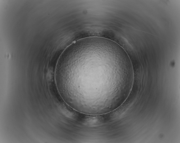 X0000091560083200708171334