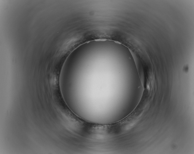 X0000091560084200708171334