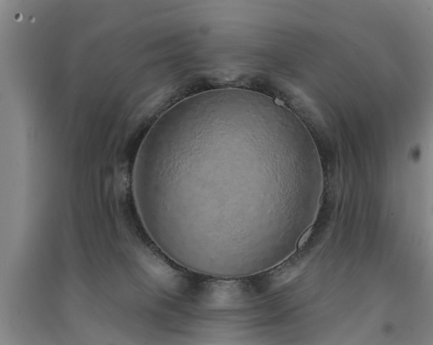 X0000091560085200708171334