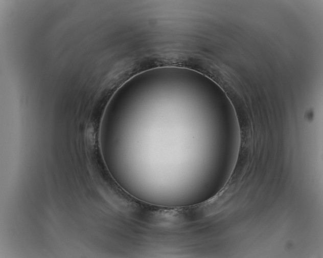 X0000091560086200708171334