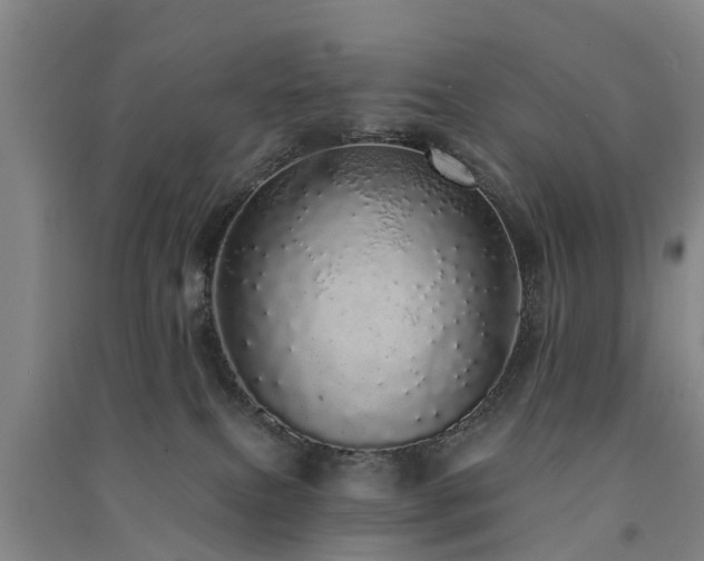 X0000091560087200708171334