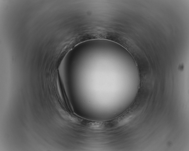 X0000091560088200708171334