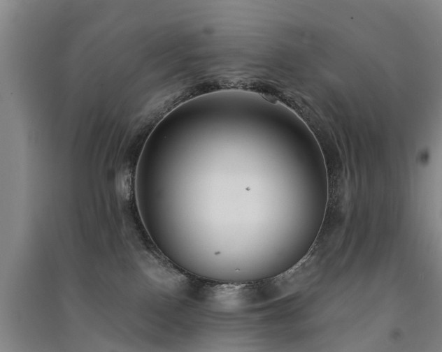 X0000091560090200708171334