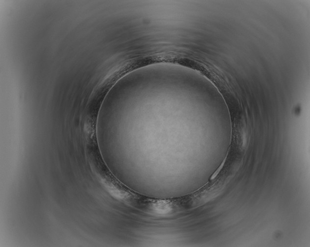 X0000091560091200708171334