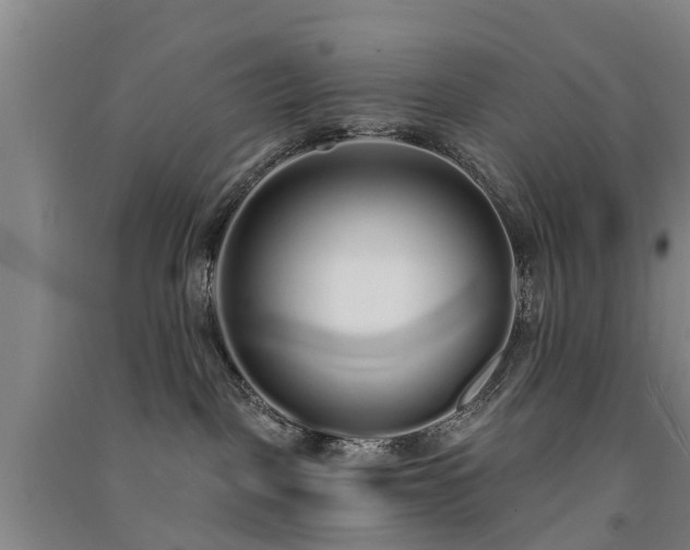 X0000091560093200708171334