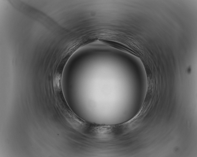 X0000091560094200708171335