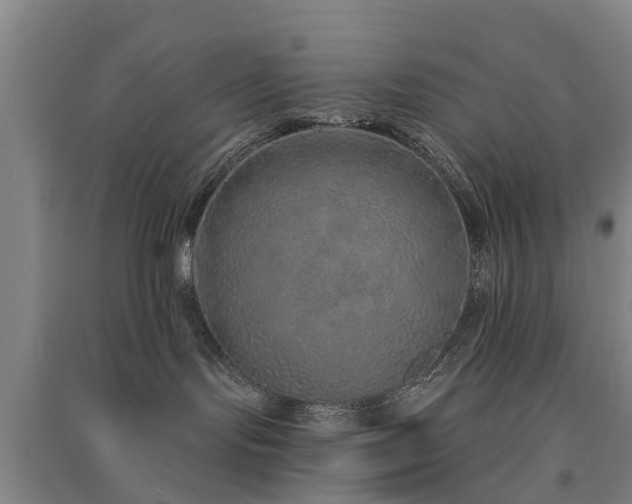 X0000091560095200708171335