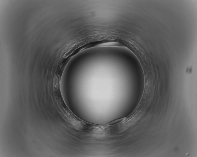 X0000091560096200708171335