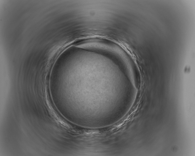 X0000091560097200708171334