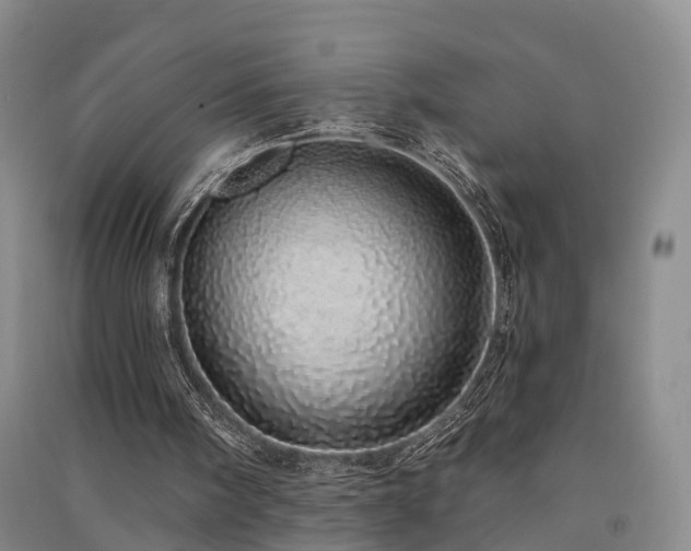 X0000091560098200708171334