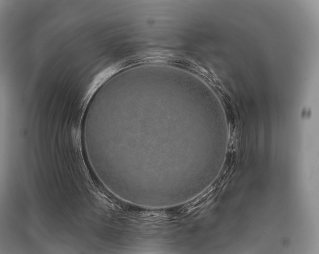 X0000091560099200708171334