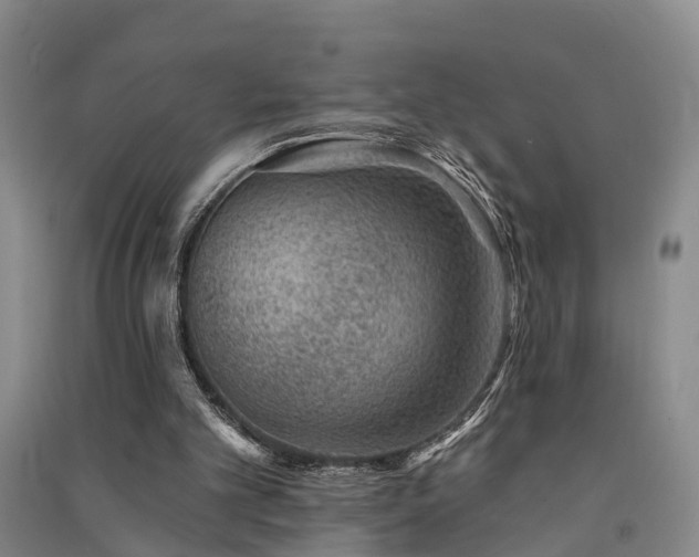 X0000091560101200708171334