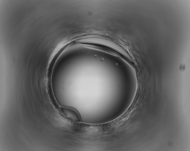 X0000091560102200708171334