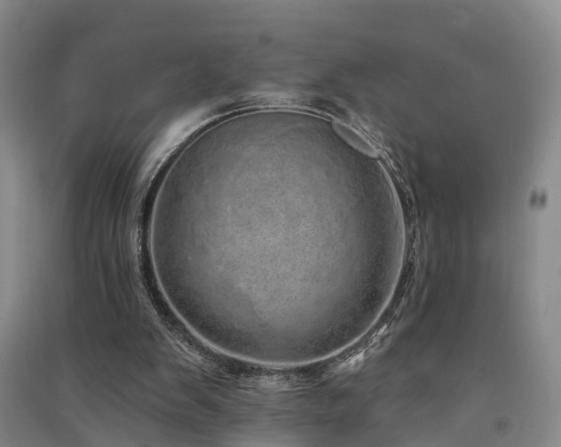 X0000091560103200708171334