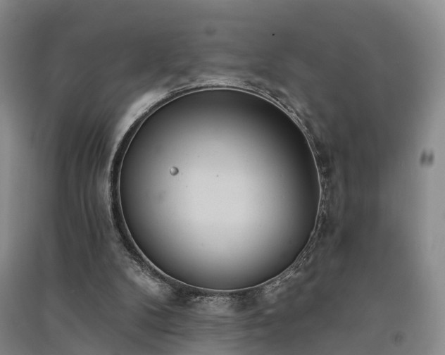 X0000091560104200708171334