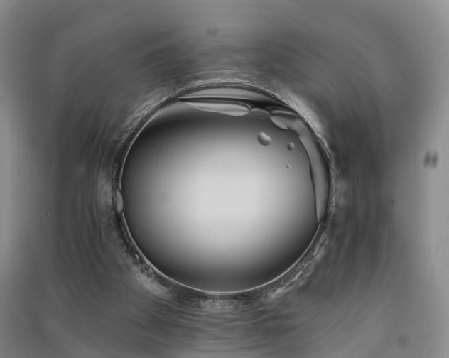 X0000091560105200708171334