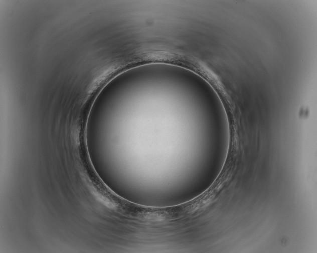 X0000091560106200708171334