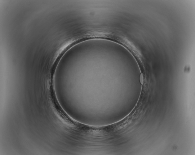 X0000091560107200708171334