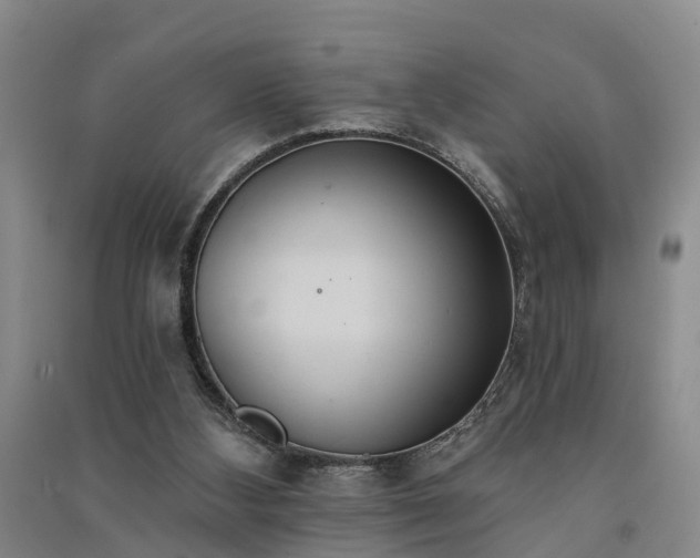 X0000091560108200708171334