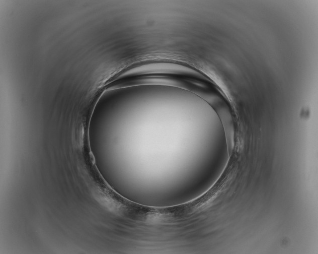 X0000091560109200708171334