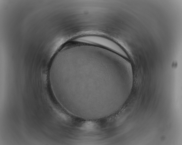 X0000091560111200708171334